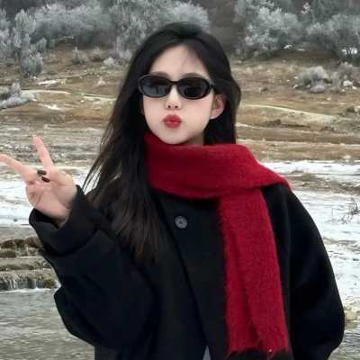 飞机总动员：打火英雄